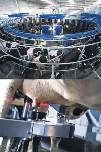 เครื่อง Milking Robot หรือเครื่องรีดนมโคอัตโนมัติ